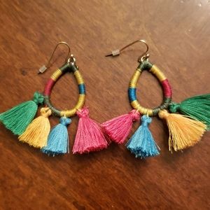 Multi Color Tassel Earrings